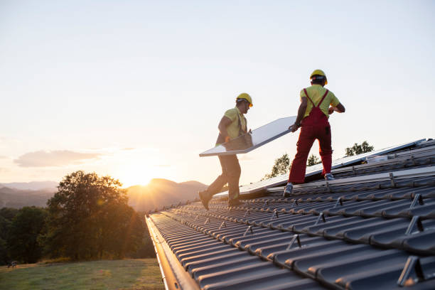 Best Roof Moss and Algae Removal  in Kaser, NY